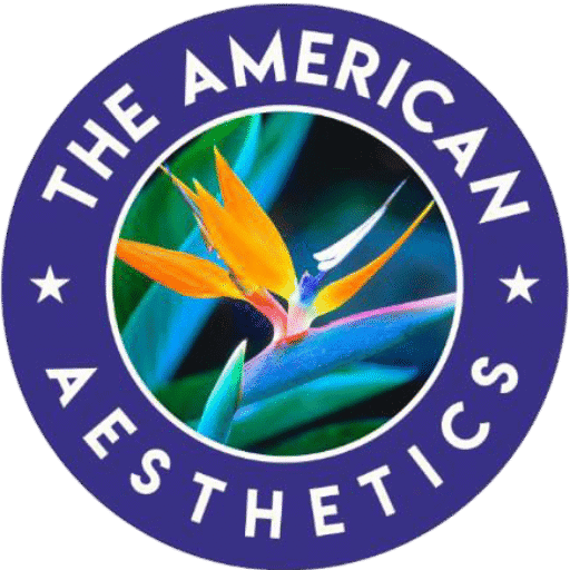 The American Aesthetics